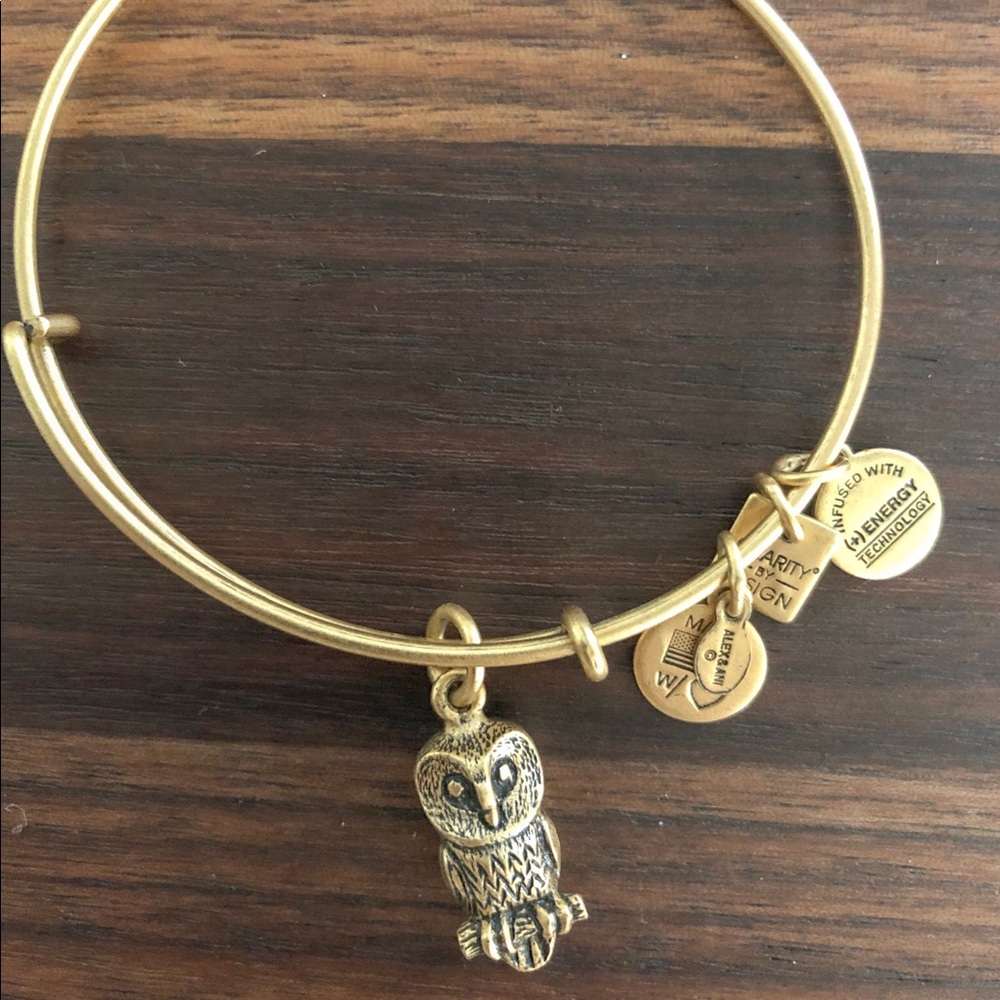 Alex and ani bracelet